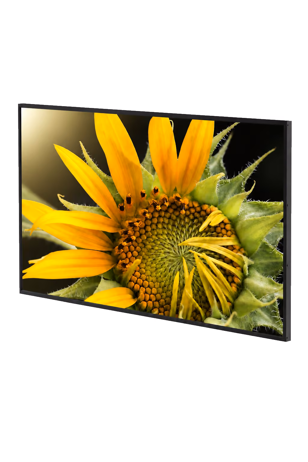 TV displej 43″ — celé vyobrazenie