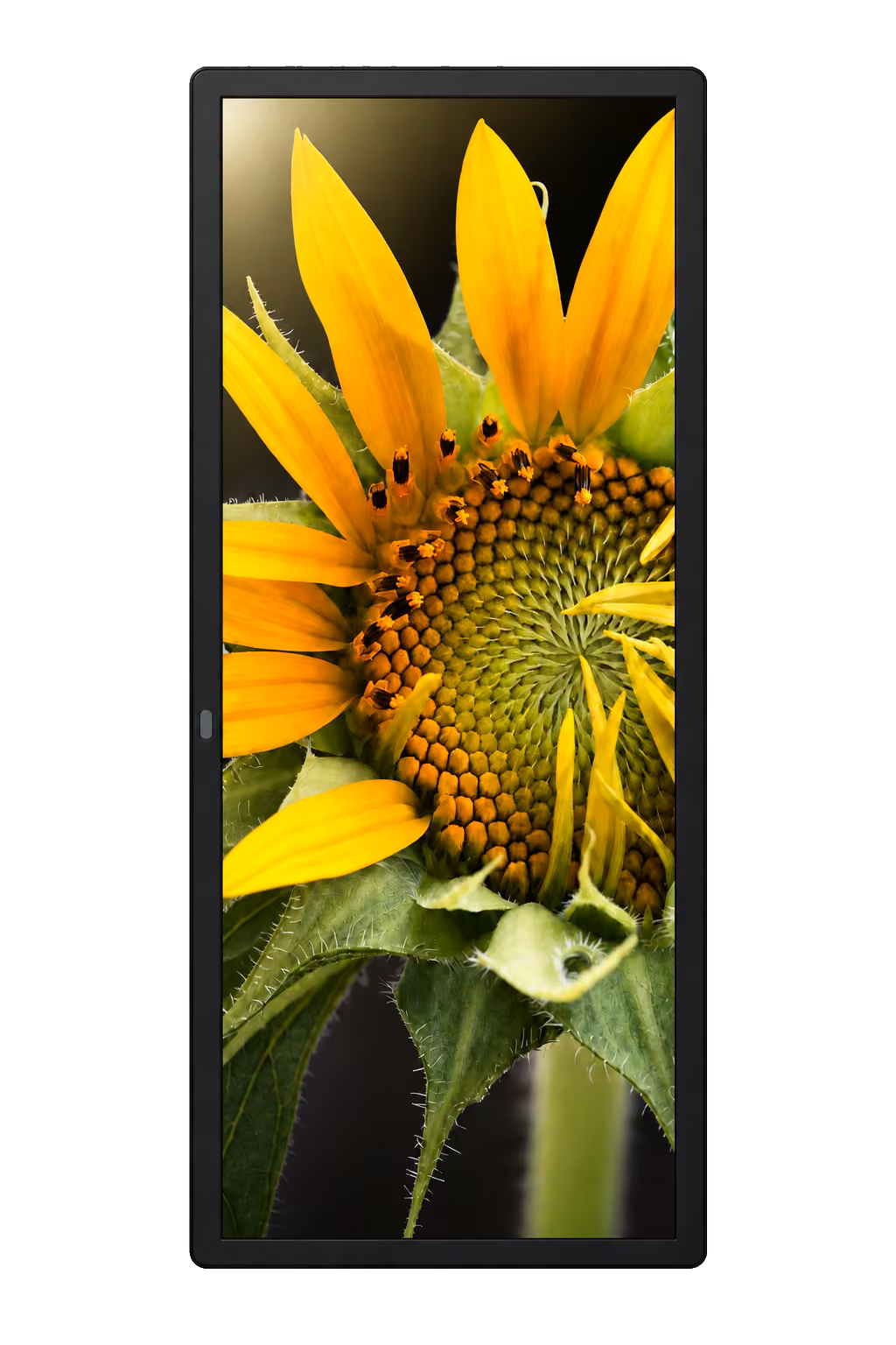 Wall Vertical 43″ — celé vyobrazenie