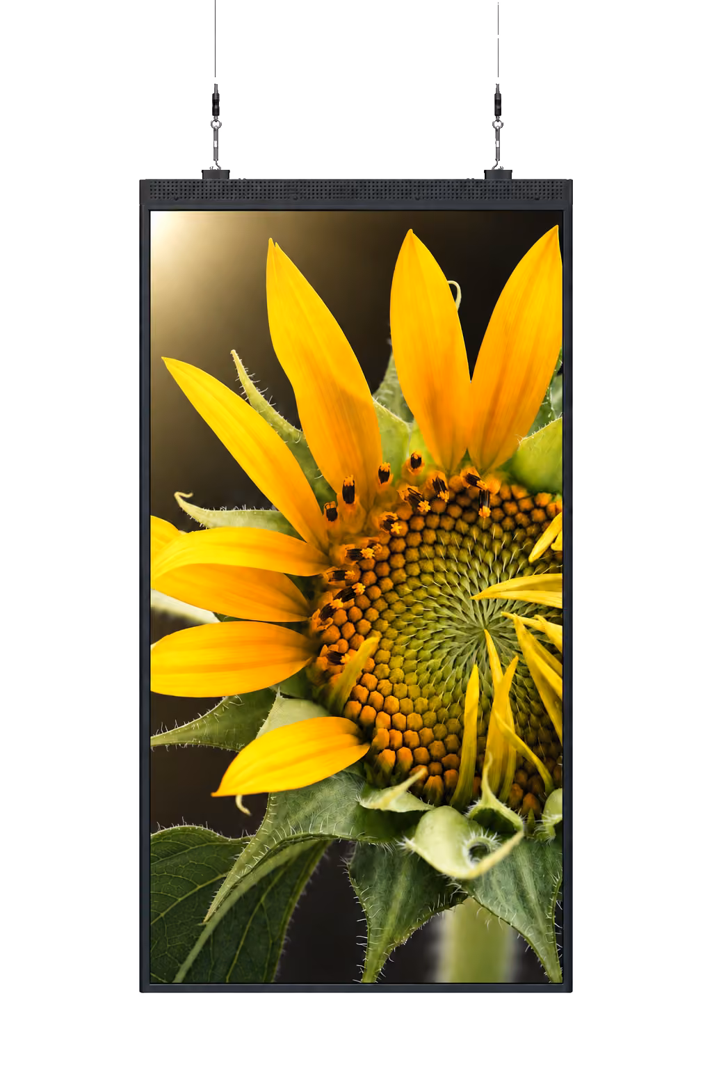 Slim Double Side 55″ — celé vyobrazenie